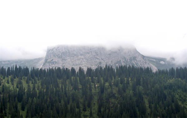 What is the highest school in England？